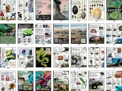 Animals: A Visual Encyclopedia, 2nd Edition