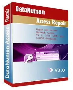 DataNumen Access Repair 3.0