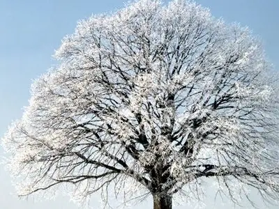 Wallpaper pack: Winter fantasy