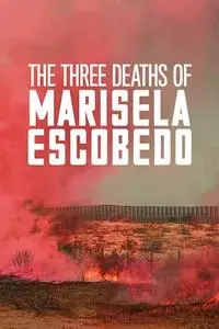 The Three Deaths of Marisela Escobedo / Las tres muertes de Marisela Escobedo (2020)