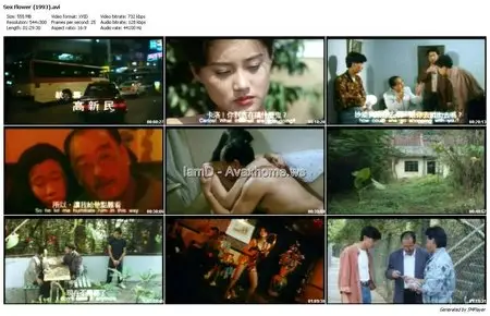 Sex Flower (1993)