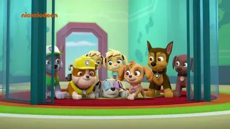 PAW Patrol S06E15