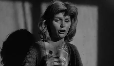 Blake Edwards - Days of Wine and Roses (1962)