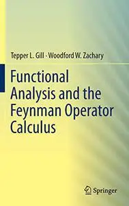 Functional Analysis and the Feynman Operator Calculus (Repost)