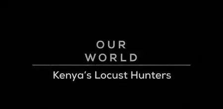 BBC Our World - Kenya's Locust Hunters (2020)