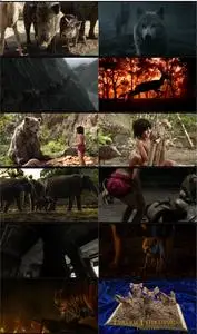 The Jungle Book (2016) + Extra [w/Commentary]