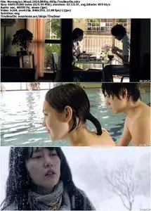 Norwegian Wood (2010) [Reuploaded]