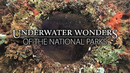 CuriosityStream - Underwater Wonders of the National Parks (2016)