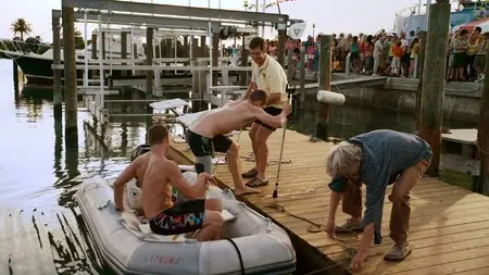Dolphin Tale / Mein Freund, der Delfin (2011)