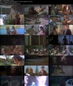 The Todd Killings (1971)