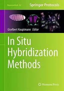 In Situ Hybridization Methods