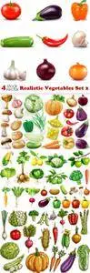 Vectors - Realistic Vegetables Set 2