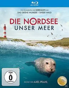 NDR Naturfilm - The North Sea - Our Sea (2013)