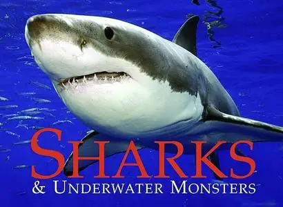 «Sharks & Underwater Monsters» by Paula Hammond