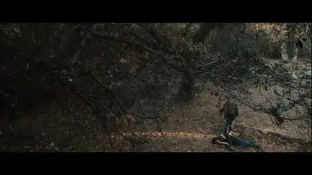 Halloween (2007)