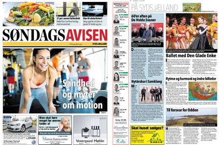 Søndagsavisen Sydsjælland – 17. januar 2019