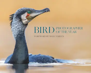Bird Photographer of the Year