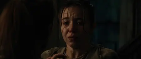 Echo Valley (2025)