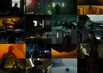 Blade Runner 2049 (2017) [Open Matte]