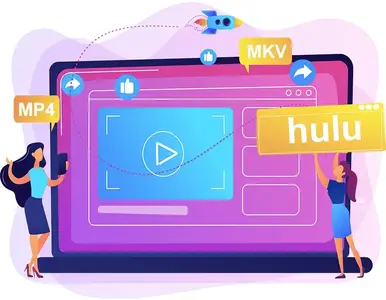 Pazu Hulu Video Downloader 1.4.9