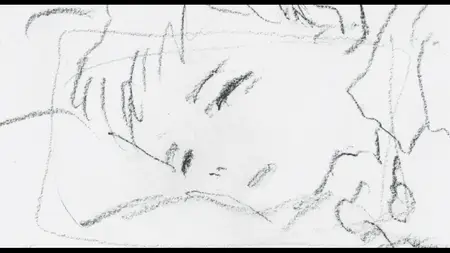 Feature-Length Storyboard 1080p BDRip x265 DD 5 1 Kira mkv