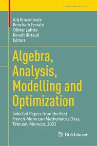 Algebra, Analysis, Modelling and Optimization