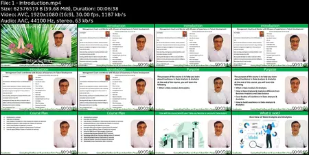 Master in Data Analysis and Analytics