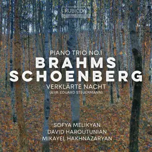 Sofya Melikyan, David Haroutunian, Mikayel Hakhnazaryan - Brahms: Piano Trio No. 1 - Schoenberg: Verklärte Nacht (2024)