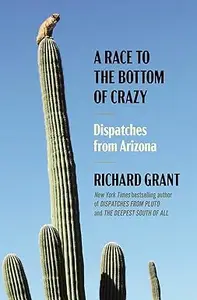 A Race to the Bottom of Crazy: Dispatches from Arizona