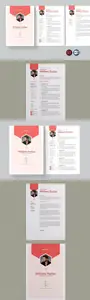Resume SKFZYEV