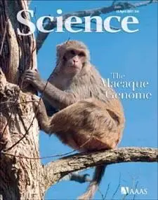 Science Magazine April 13 2007