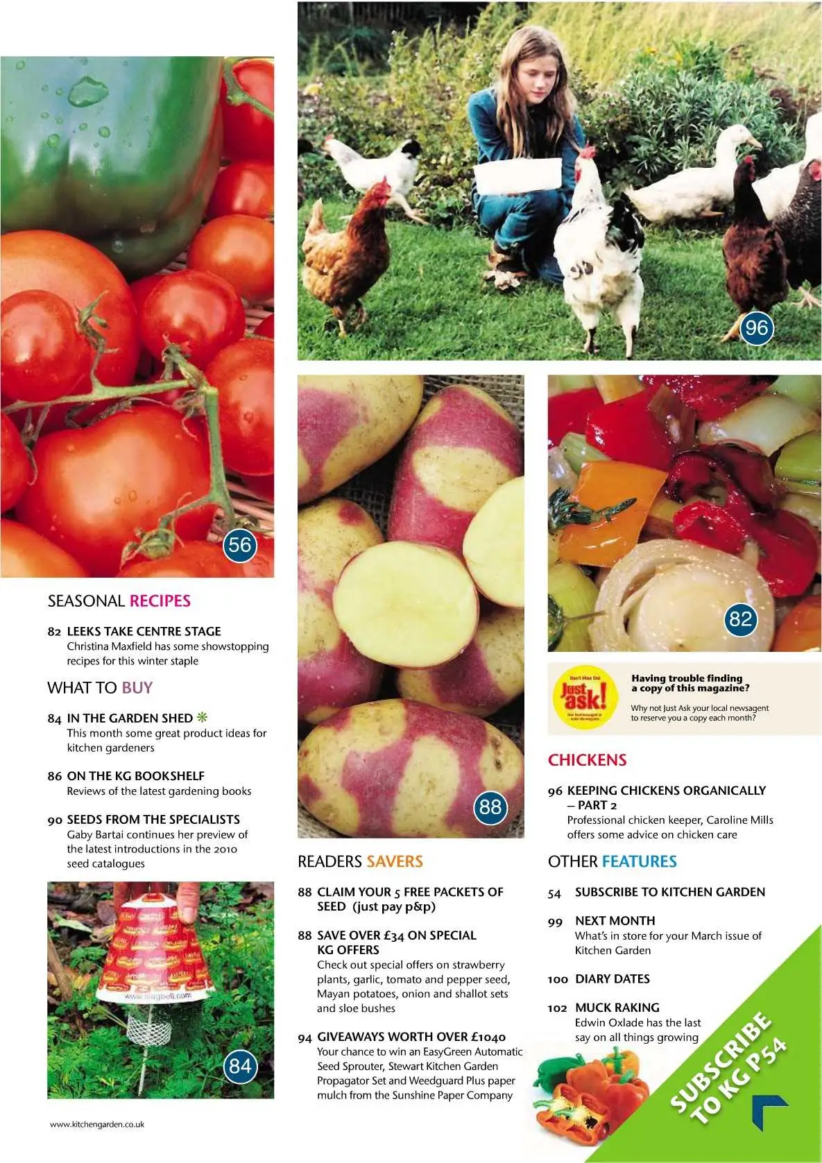 Kitchen Garden - February 2010