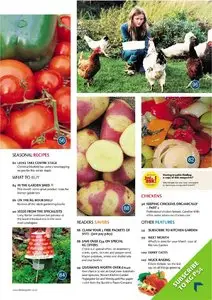 Kitchen Garden - February 2010