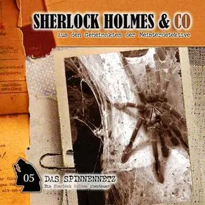 «Sherlock Holmes & Co - Folge 5: Das Spinnennetz» by Markus Winter