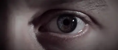 Le météore / The Meteor (2013)