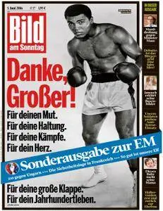 Bild am Sonntag - 5 Juni 2016