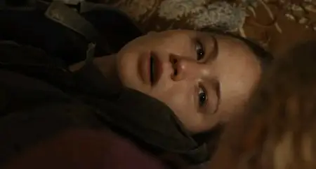 Un gelido inverno (2010)