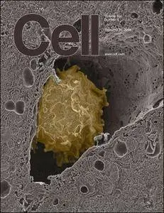 Cell - 25 February 2016