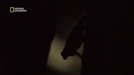 One Strange Rock S01E10