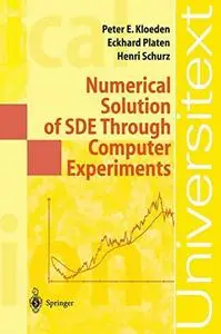 Numerical solution of SDE through computer experiments