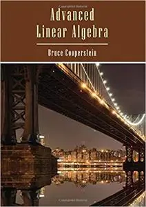 Advanced Linear Algebra (Textbooks in Mathematics) (Instructor Resources)
