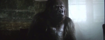 Attenti Al Gorilla (2019)
