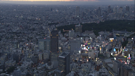 Virtual Trip Tokyo Twilight From The Air (2008)