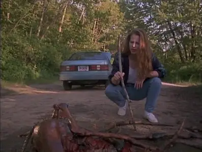 Mosquito (1995)