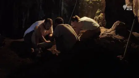 Neanderthal Apocalypse (2015) [part 1-2]