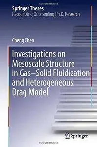 Investigations on Mesoscale Structure in Gas-Solid Fluidization and Heterogeneous Drag Model (Repost)