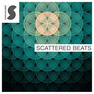 Samplephonics Scattered Beats MULTiFORMAT