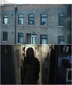 Cat in the Wall (2019)