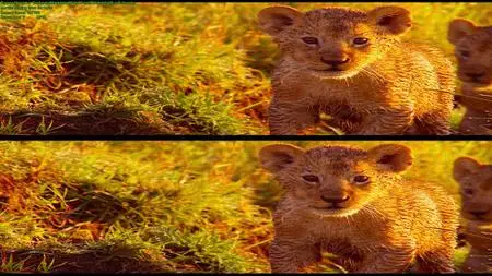 Enchanted Kingdom 3D (2013)