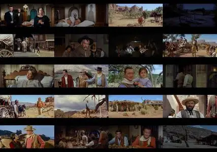 The Comancheros (1961)